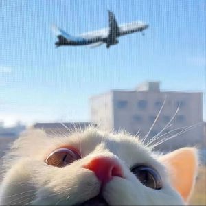 娇小性猛交XX乄
