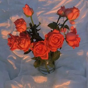 娇小性猛交XX乄
